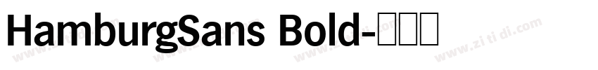 HamburgSans Bold字体转换